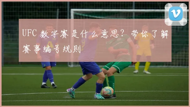 UFC 数字赛是什么意思？带你了解赛事编号规则