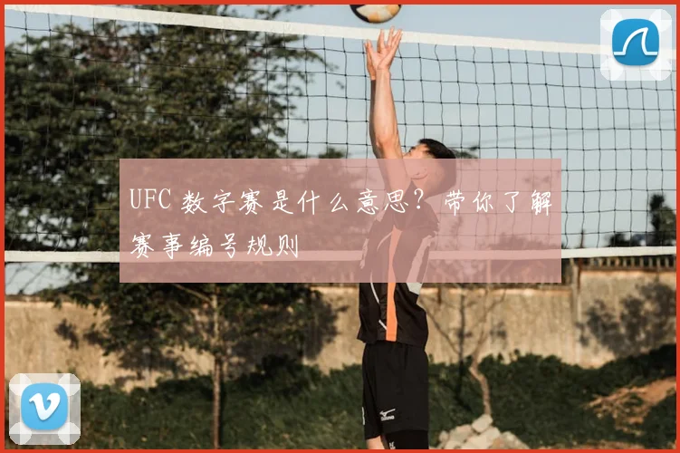 UFC 数字赛是什么意思？带你了解赛事编号规则